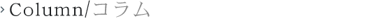Column/コラム